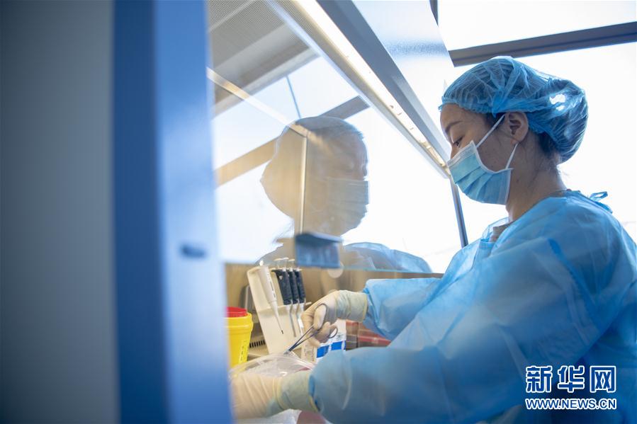 （一線抗疫群英譜&middot;圖文互動）（3）&ldquo;90后&rdquo;檢驗員張慧變：每個樣本都是一份沉甸甸的責任