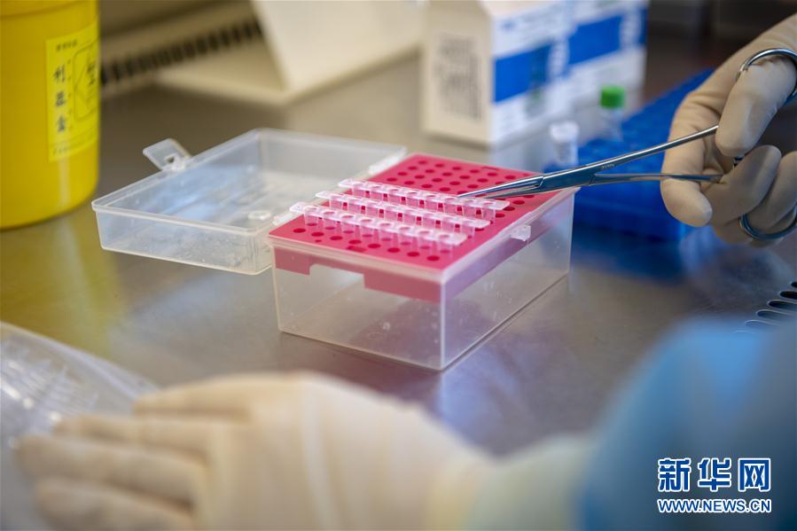 （一線抗疫群英譜&middot;圖文互動）（4）&ldquo;90后&rdquo;檢驗員張慧變：每個樣本都是一份沉甸甸的責任