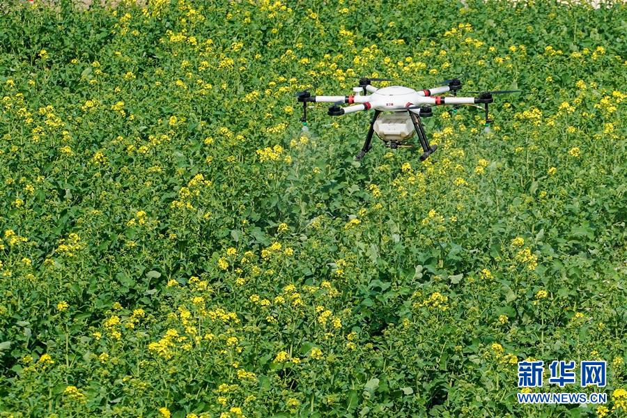 （在習(xí)近平新時(shí)代中國(guó)特色社會(huì)主義思想指引下&mdash;&mdash;新時(shí)代新作為新篇章&middot;習(xí)近平總書記關(guān)切事&middot;圖文互動(dòng)）（17）精準(zhǔn)發(fā)力抓統(tǒng)籌&mdash;&mdash;各地落實(shí)&ldquo;分區(qū)分級(jí)&rdquo;有序恢復(fù)生產(chǎn)生活