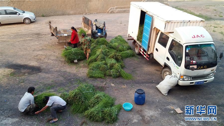 （決戰(zhàn)決勝脫貧攻堅(jiān)&middot;圖文互動(dòng)）（2）三訪長征村