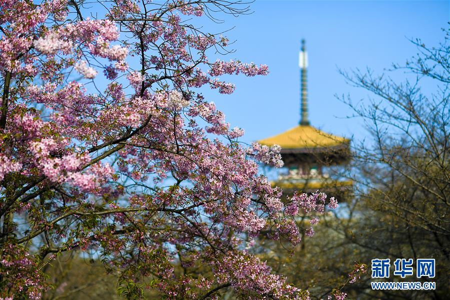 （新華全媒頭條&middot;圖文互動）（4）青春的力量 時(shí)代的脊梁&mdash;&mdash;記抗疫一線的&ldquo;90后&rdquo;&ldquo;00后&rdquo;年輕人