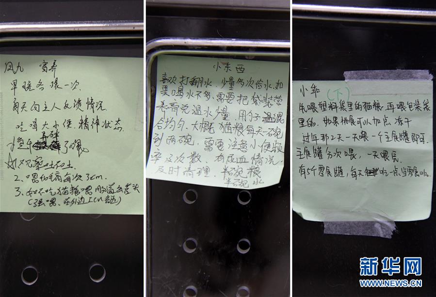 （聚焦疫情防控）（4）武漢：動物醫(yī)院里的臨時&ldquo;奶爸&rdquo;