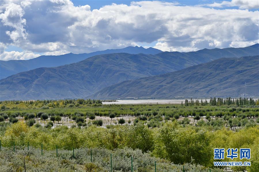 （圖文互動(dòng)）（4）&ldquo;今天的生活，就像夢(mèng)里夢(mèng)到那樣甜&rdquo;&mdash;&mdash;寫在西藏百萬(wàn)農(nóng)奴解放61周年之際