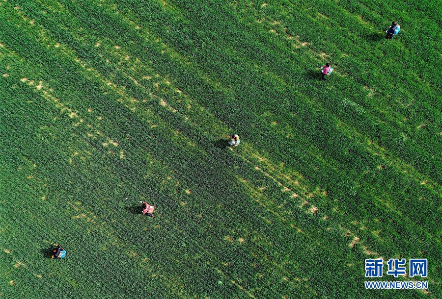 （新華全媒頭條&middot;圖文互動(dòng)）（5）春天，匯聚復(fù)蘇的力量&mdash;&mdash;寫(xiě)在2020年首季中國(guó)經(jīng)濟(jì)收官之際