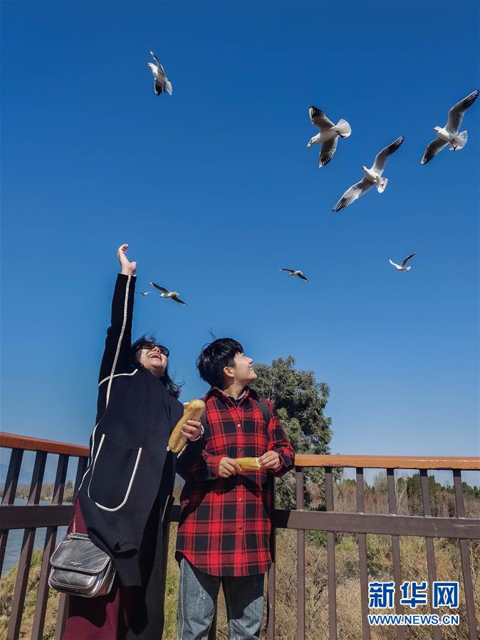 （一線抗疫群英譜&middot;圖文互動(dòng)）（1）大學(xué)生志愿者譚藝西：在武漢，我和媽媽共戰(zhàn)&ldquo;疫&rdquo;