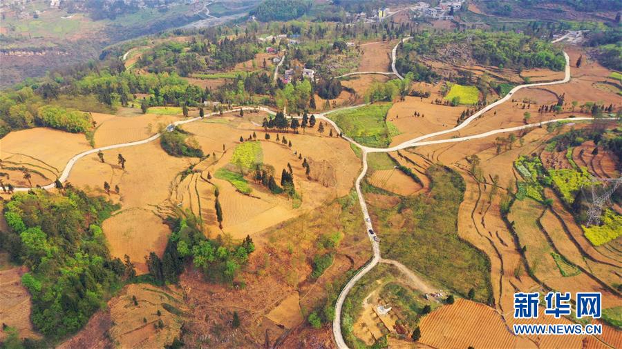 （決戰(zhàn)決勝脫貧攻堅(jiān)&middot;圖文互動(dòng)）（2）寄相思，償夙愿&mdash;&mdash;5封清明&ldquo;家書&rdquo;里的決戰(zhàn)決勝信念