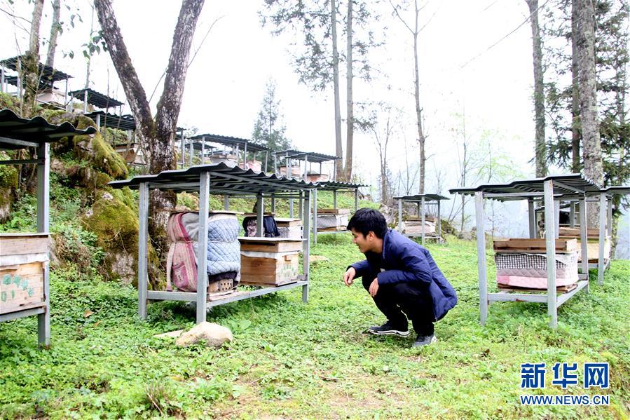 （決戰(zhàn)決勝脫貧攻堅(jiān)&middot;圖文互動(dòng)）（3）寄相思，償夙愿&mdash;&mdash;5封清明&ldquo;家書&rdquo;里的決戰(zhàn)決勝信念