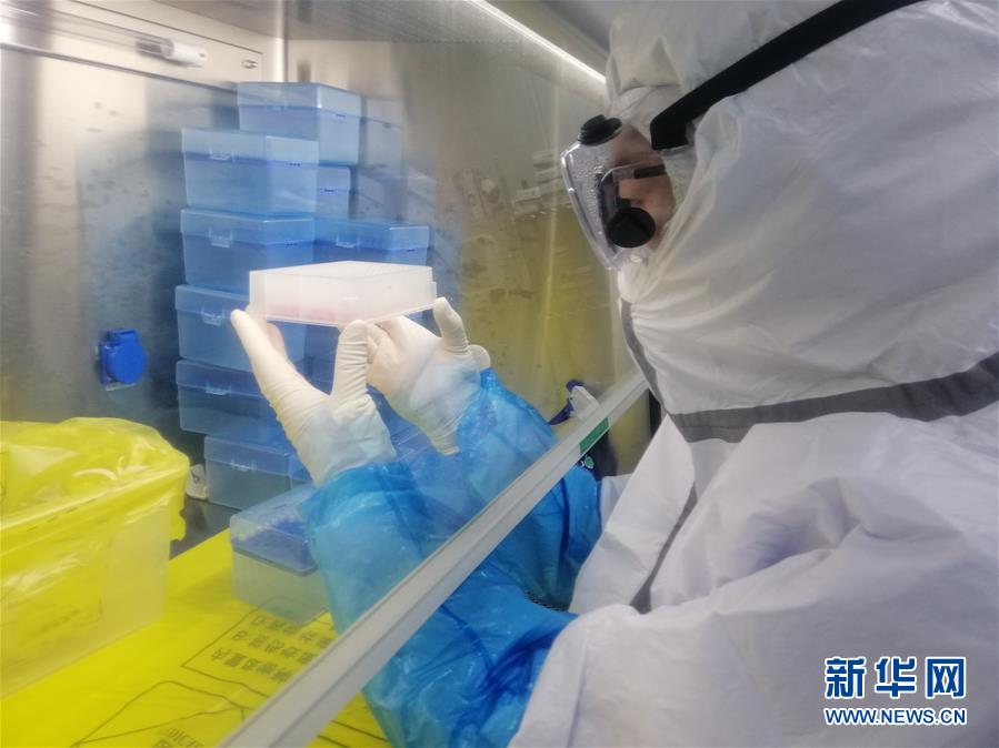 （一線(xiàn)抗疫群英譜&middot;圖文互動(dòng)）（2）&ldquo;95后&rdquo;大學(xué)生郝鶯歌：退掉車(chē)票，她選擇直面病毒