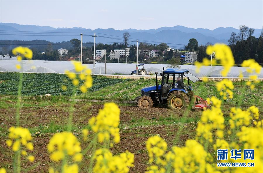（決戰(zhàn)決勝脫貧攻堅&middot;圖文互動）（3）貴州黔東南：搶抓壩區(qū)春耕 決勝脫貧攻堅