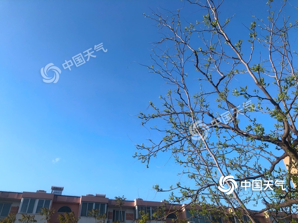 陣風(fēng)8級(jí)！北京遭遇雨后大降溫 北風(fēng)勁吹需添衣