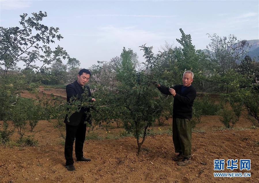 （新華全媒頭條&middot;圖文互動(dòng)）（6）春天里的5個(gè)&ldquo;戰(zhàn)貧&rdquo;瞬間&mdash;&mdash;習(xí)近平總書記關(guān)于脫貧攻堅(jiān)決策部署指引攻克最后的深貧堡壘