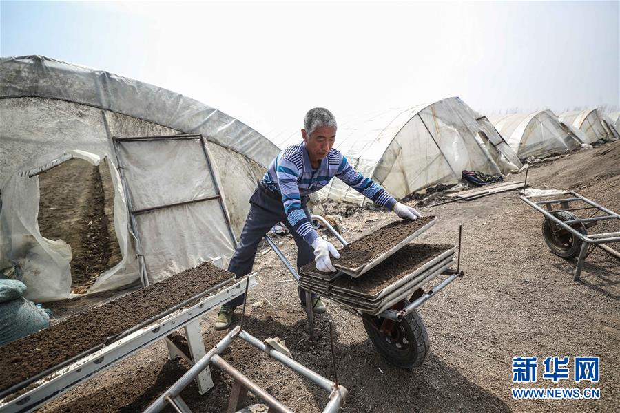 （在習(xí)近平新時(shí)代中國特色社會(huì)主義思想指引下&mdash;&mdash;新時(shí)代新作為新篇章&middot;習(xí)近平總書記關(guān)切事&middot;圖文互動(dòng)）（5）春耕忙 信心足&mdash;&mdash;谷雨時(shí)節(jié)走馬東北直擊糧事