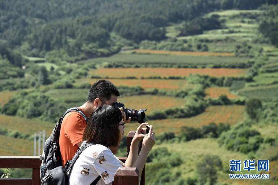 （圖文互動(dòng)）（1）這座小城，鐫刻下怎樣的&ldquo;世園印記&rdquo;&mdash;&mdash;北京世園會(huì)開園一周年探訪延慶