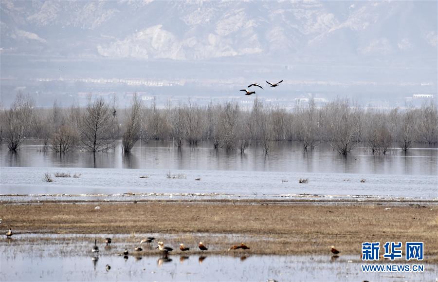（圖文互動(dòng)）（3）這座小城，鐫刻下怎樣的&ldquo;世園印記&rdquo;&mdash;&mdash;北京世園會(huì)開園一周年探訪延慶
