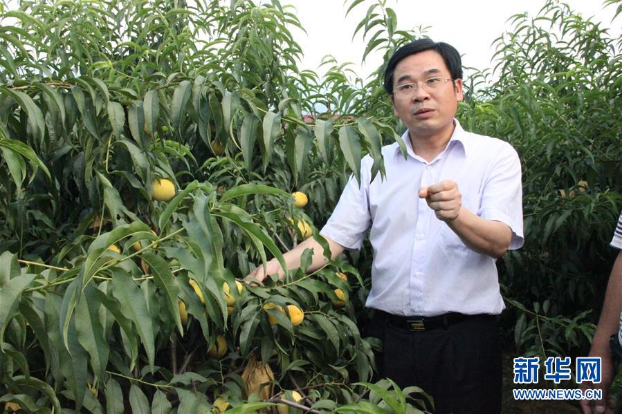 （圖文互動(dòng)）（2）&ldquo;為脫貧而來(lái)，為脫貧而去&rdquo;&mdash;&mdash;追記湖南炎陵縣委原書(shū)記黃詩(shī)燕 