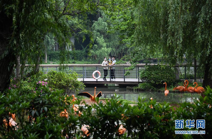 （在習(xí)近平新時(shí)代中國(guó)特色社會(huì)主義思想指引下&mdash;&mdash;新時(shí)代新作為新篇章&middot;習(xí)近平總書(shū)記關(guān)切事&middot;圖文互動(dòng)）（8）疫情防控不減壓　復(fù)工復(fù)產(chǎn)正加速&mdash;&mdash;武漢&ldquo;解封&rdquo;滿(mǎn)月觀察