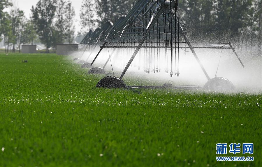 （在習近平新時代中國特色社會主義思想指引下&mdash;&mdash;新時代新作為新篇章&middot;習近平總書記關切事&middot;圖文互動）（3）新農事、新希望&mdash;&mdash;夏收前田間新動態(tài)掃描