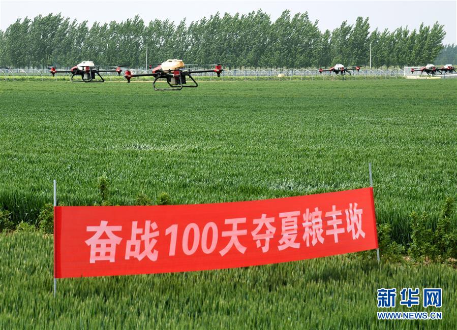 （在習近平新時代中國特色社會主義思想指引下&mdash;&mdash;新時代新作為新篇章&middot;習近平總書記關切事&middot;圖文互動）（9）新農事、新希望&mdash;&mdash;夏收前田間新動態(tài)掃描