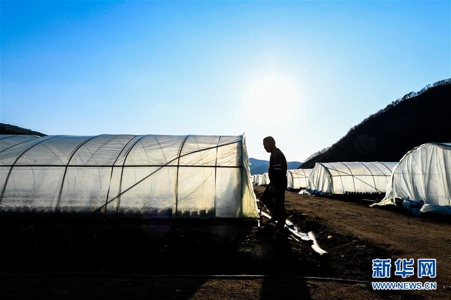 (決戰(zhàn)決勝脫貧攻堅(jiān)·圖文互動(dòng))(10)長(zhǎng)白山下唱新篇——吉林延邊州脫貧攻堅(jiān)觀察