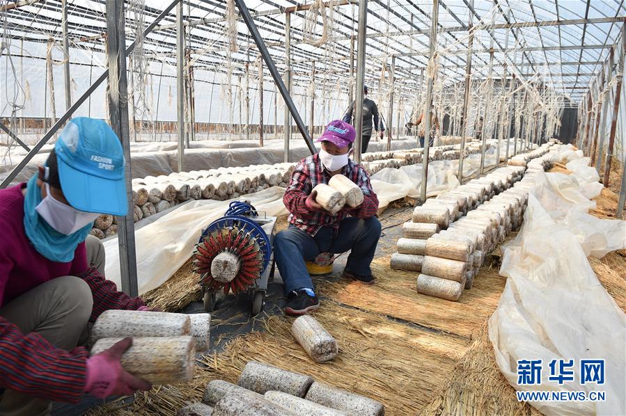 (決戰(zhàn)決勝脫貧攻堅(jiān)·圖文互動(dòng))(4)長(zhǎng)白山下唱新篇——吉林延邊州脫貧攻堅(jiān)觀察