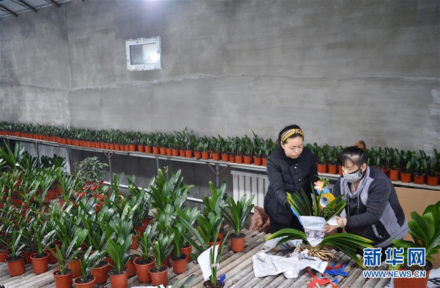 (決戰(zhàn)決勝脫貧攻堅(jiān)·圖文互動(dòng))(11)長(zhǎng)白山下唱新篇——吉林延邊州脫貧攻堅(jiān)觀察