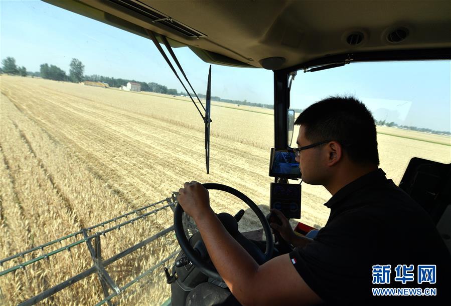 (關(guān)注三夏·圖文互動(dòng))(2)麥田“后浪”的農(nóng)事新說