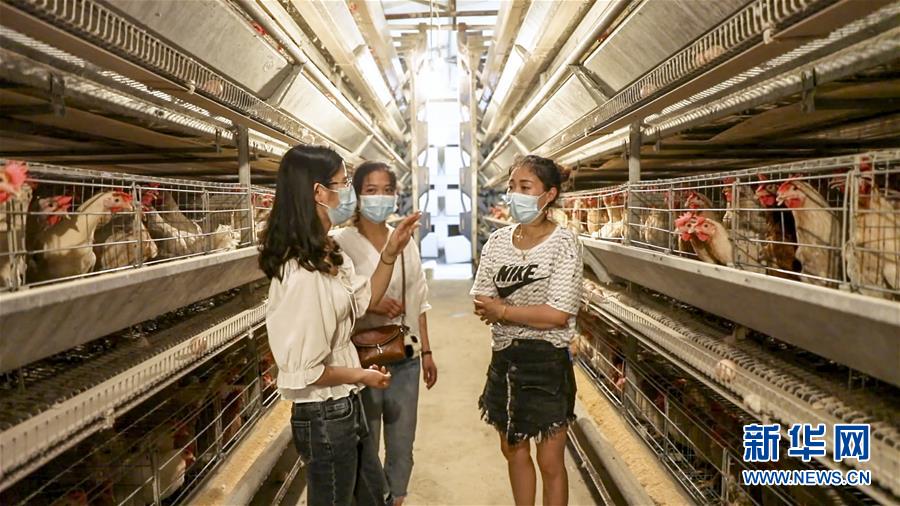 （新華全媒頭條&middot;圖文互動）（4）基層天地廣闊 青春大有作為&mdash;&mdash;聚焦&ldquo;三支一扶&rdquo;計劃實施十五年