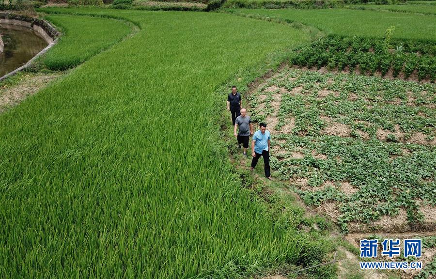 （圖文互動(dòng)）（6）湘南深山，堅(jiān)守扶貧一線的黨員之家