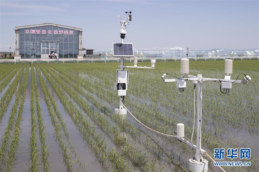 (走向我們的小康生活·圖文互動)(4)端牢“中國飯碗” 播種綠色小康