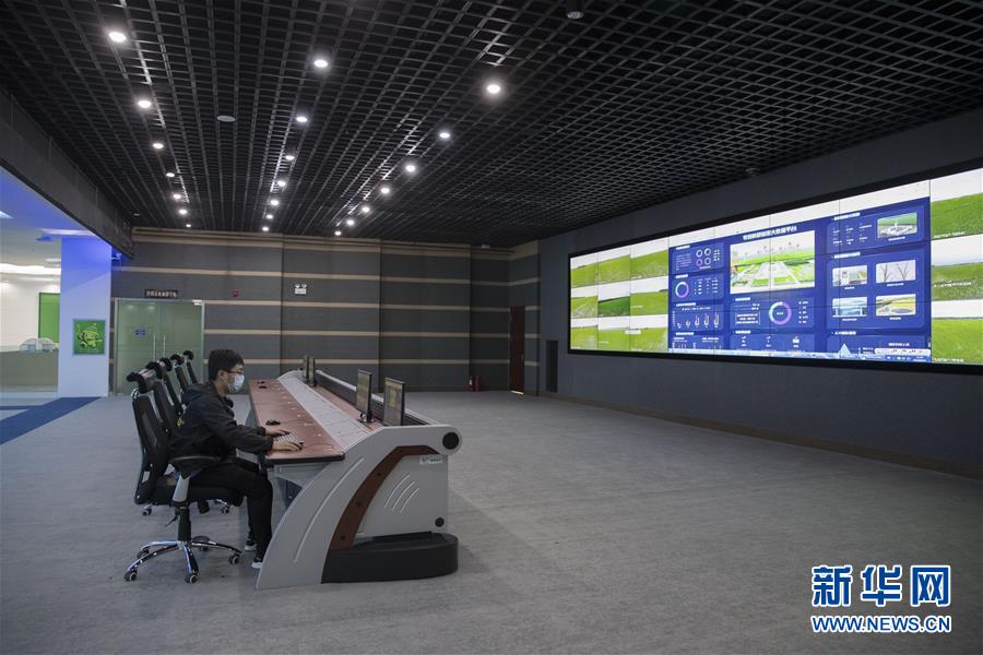 (走向我們的小康生活·圖文互動)(8)端牢“中國飯碗” 播種綠色小康