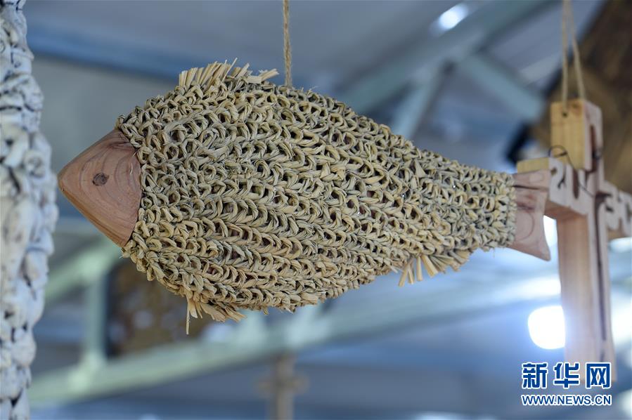  （新華全媒頭條&middot;圖文互動(dòng)）（6）青春，在希望的田野上&mdash;&mdash;大別山區(qū)尋訪&ldquo;城歸&rdquo;大學(xué)畢業(yè)生