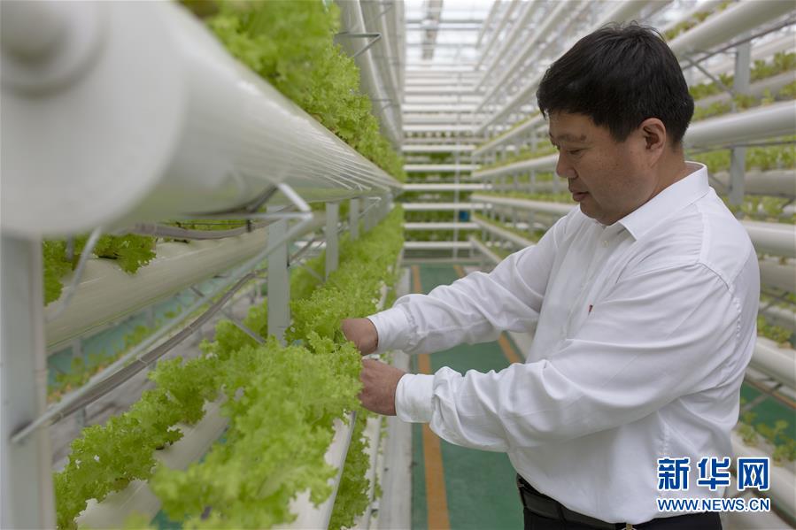 (新華全媒頭條·圖文互動)(1)十任“支書”一個夢