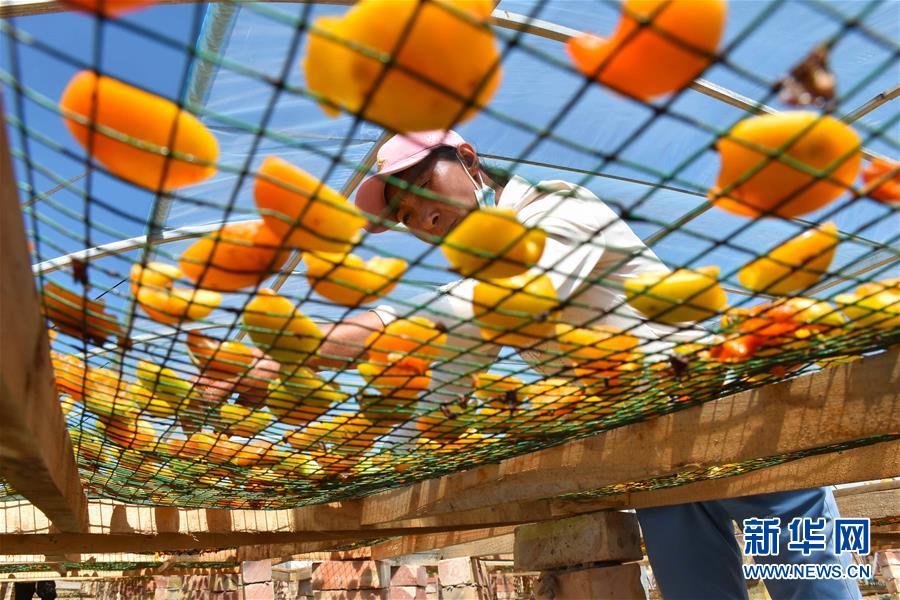 (決戰(zhàn)決勝脫貧攻堅·圖文互動)(1)新疆“杏鄉(xiāng)”:杏果飄香 走出深閨助脫貧