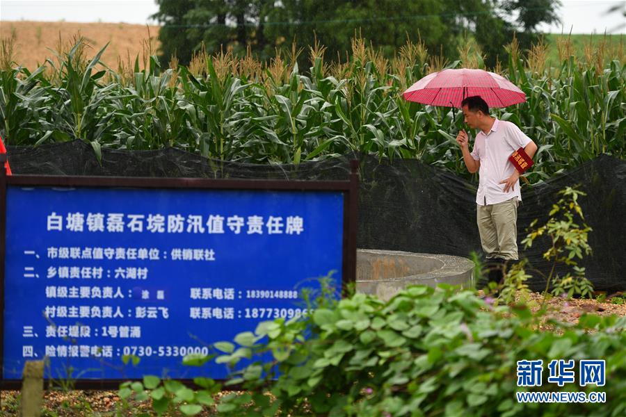 （防汛抗洪&middot;圖文互動）（1）&ldquo;險情不可怕，可怕的是不能及時發(fā)現(xiàn)險情&rdquo;&mdash;&mdash;洞庭湖巡堤查險現(xiàn)場直擊