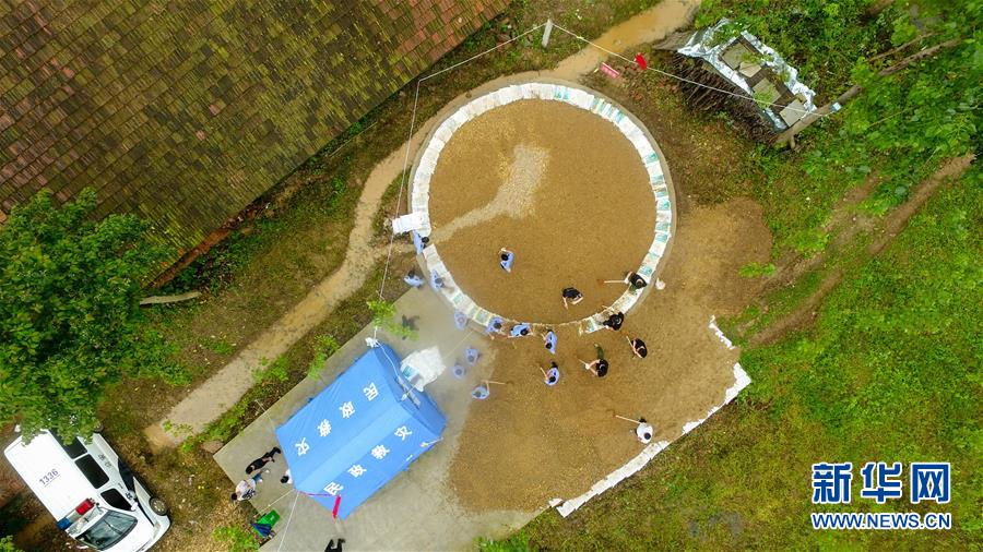 （防汛抗洪&middot;圖文互動）（2）&ldquo;險情不可怕，可怕的是不能及時發(fā)現(xiàn)險情&rdquo;&mdash;&mdash;洞庭湖巡堤查險現(xiàn)場直擊