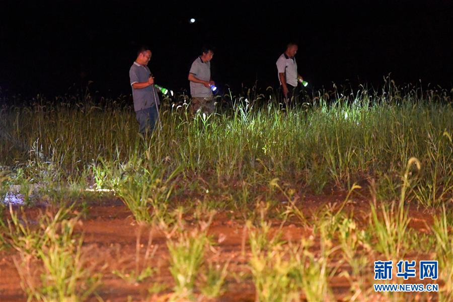 （防汛抗洪&middot;圖文互動(dòng)）（2）&ldquo;保衛(wèi)家園，誰都不能是旁觀者&rdquo;&mdash;&mdash;夜訪洞庭湖大堤防汛一線