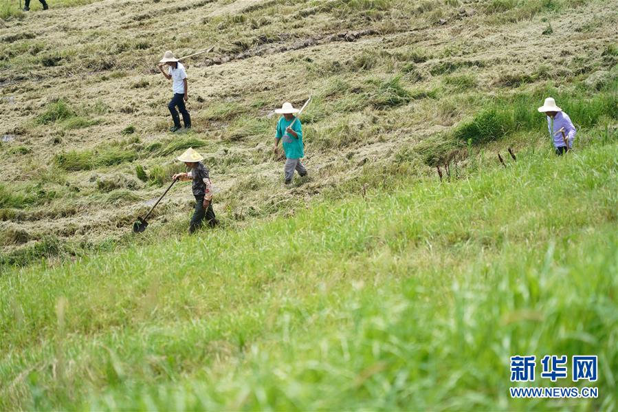 (防汛抗洪·圖文互動)(4)特寫:康山大堤上的脫貧“守堤人”