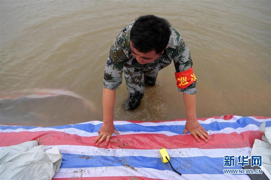 （新華全媒頭條&middot;圖文互動）（5）鏖戰(zhàn)江新洲