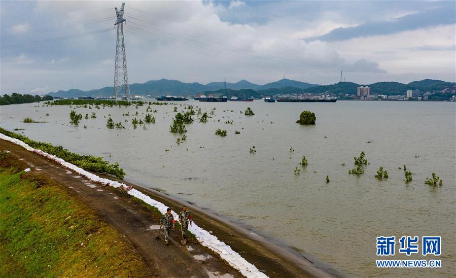 (防汛抗洪·圖片故事)(7)抗洪一線“父子兵”