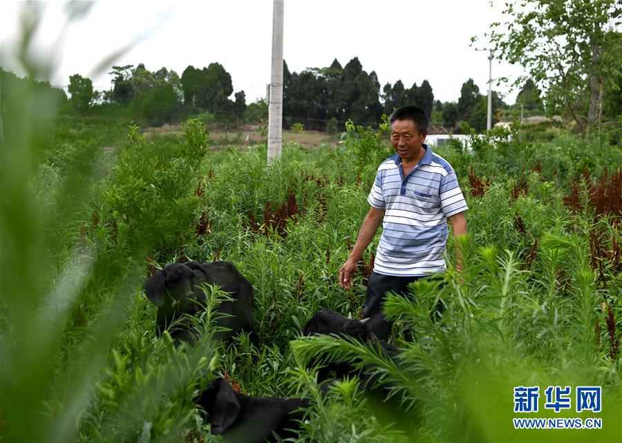 （走向我們的小康生活&middot;圖文互動）（3）擺擺幸福鄉(xiāng)村的新鮮事兒