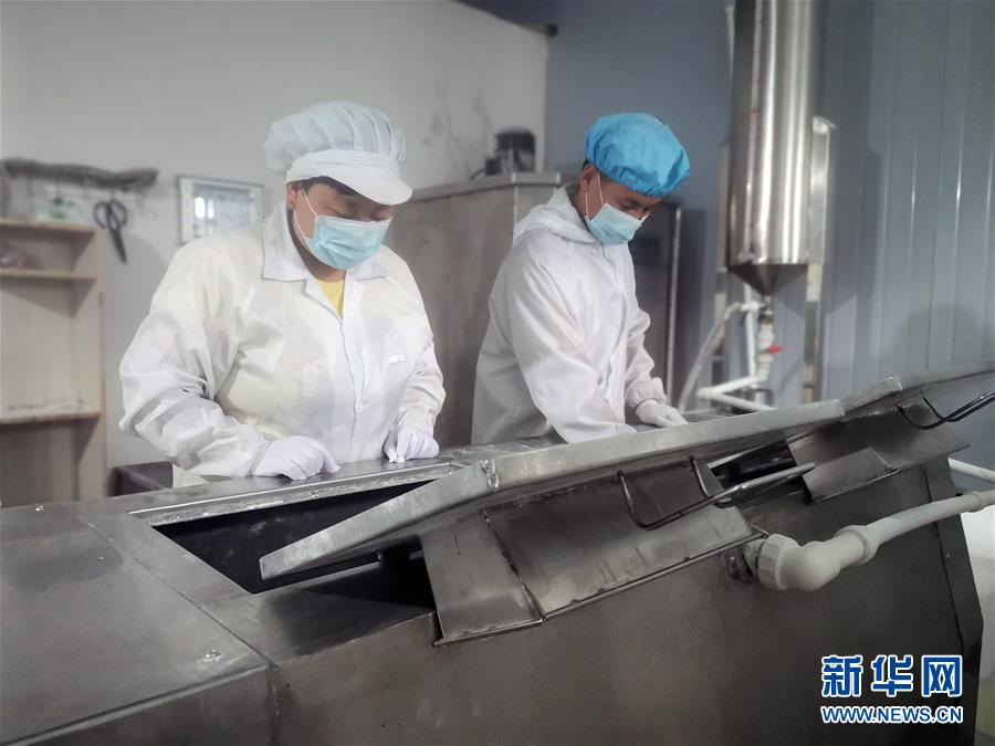 (中國(guó)網(wǎng)事·感動(dòng)2020·圖文互動(dòng))(1)“90后”扶貧干部跨越千里當(dāng)上“掛面書記”