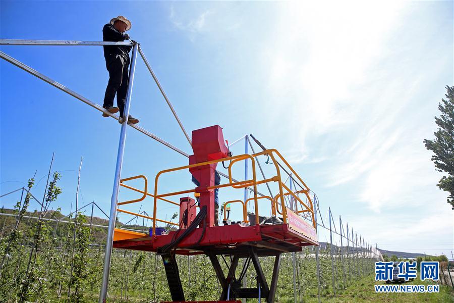 （走向我們的小康生活&middot;圖文互動）（2）西海固換了新模樣