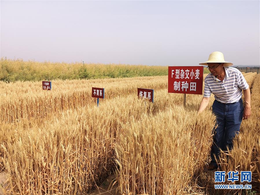 （在習(xí)近平新時代中國特色社會主義思想指引下&mdash;&mdash;新時代新作為新篇章&middot;習(xí)近平總書記關(guān)切事&middot;圖文互動）（3）讓百姓吃得飽還要吃得好&mdash;&mdash;夯實糧食安全基礎(chǔ)端牢中國飯碗