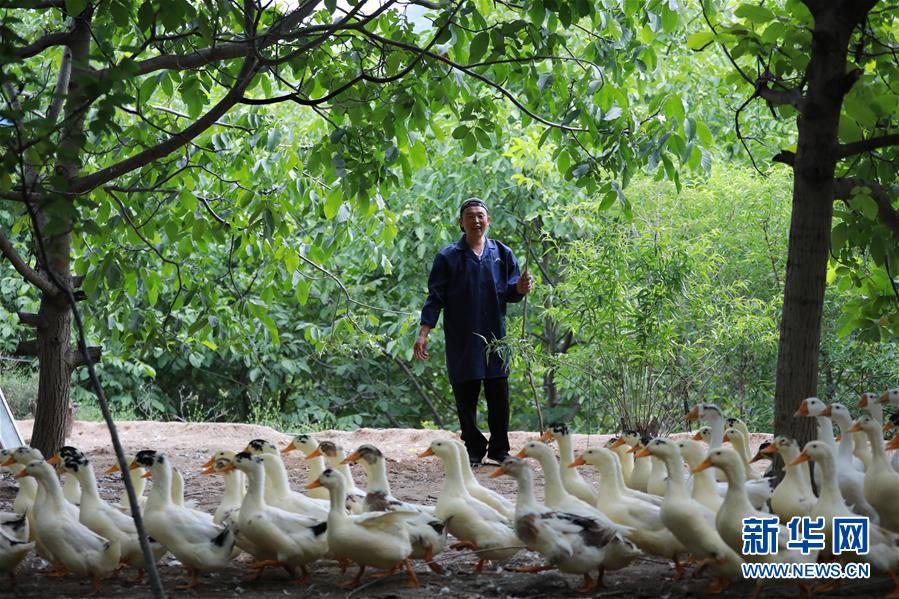 （新華全媒頭條&middot;圖文互動）（8）穩(wěn)中求進(jìn) 奮勇前進(jìn)&mdash;&mdash;從中央政治局會議看中國經(jīng)濟走勢