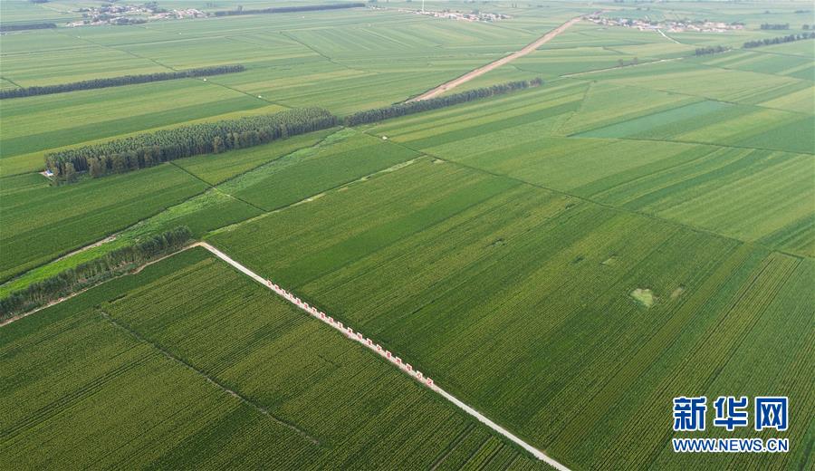 （在習(xí)近平新時(shí)代中國(guó)特色社會(huì)主義思想指引下&mdash;&mdash;新時(shí)代新作為新篇章&middot;習(xí)近平總書記關(guān)切事&middot;圖文互動(dòng)）（2）為黑土加&ldquo;油&rdquo;&mdash;&mdash;&ldquo;耕地中的大熊貓&rdquo;，我們這樣保護(hù)