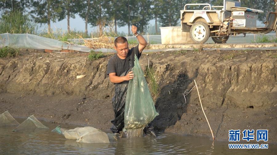 （鄉(xiāng)村振興&middot;圖文互動(dòng)）（2）歡喜莊的&ldquo;歡喜事&rdquo;