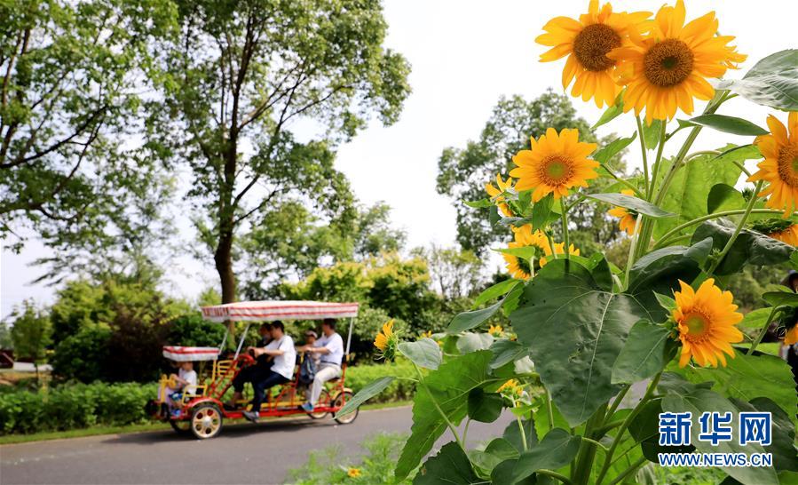 （新華全媒頭條&middot;走向我們的小康生活&middot;圖文互動）（13）城市，讓人民生活更美好