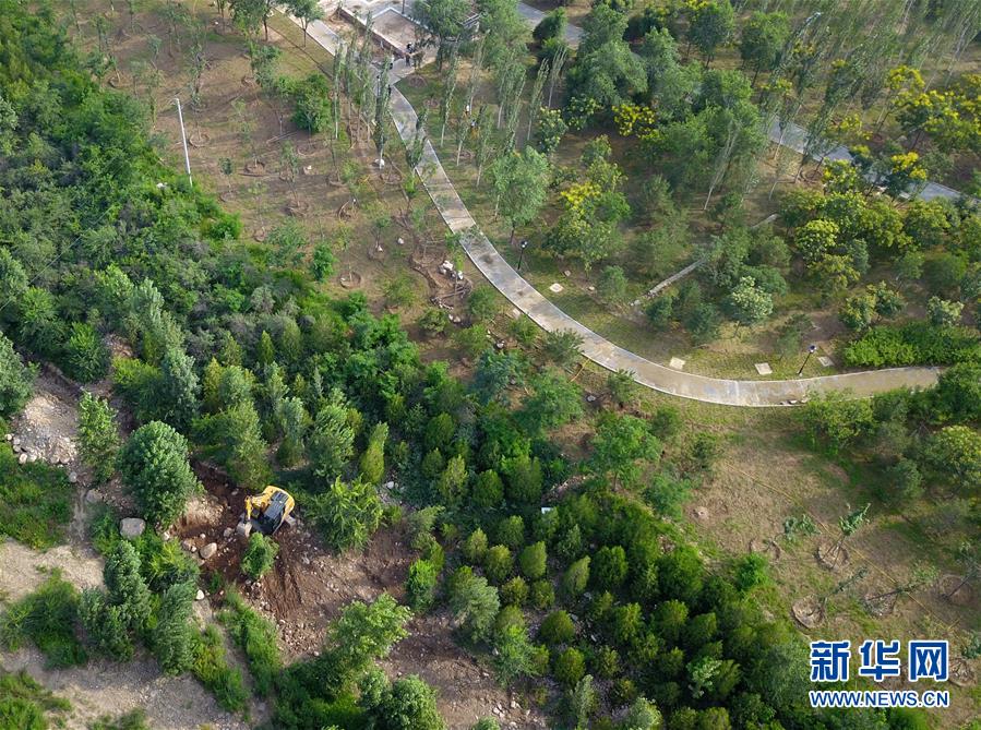 （新華全媒頭條&middot;圖文互動）（15）扎實推進籌辦，不負青春韶華&mdash;&mdash;北京冬奧會籌辦備戰(zhàn)克服疫情影響平穩(wěn)推進