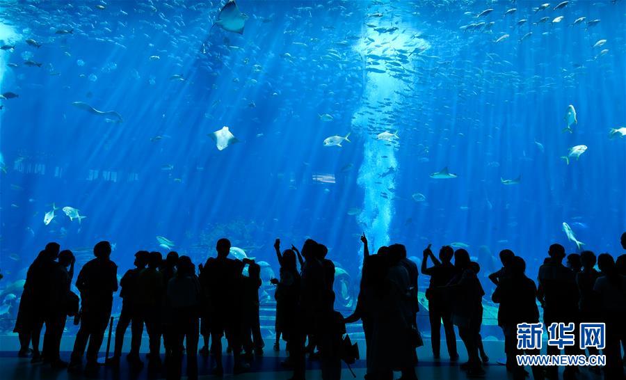 （在習近平新時代中國特色社會主義思想指引下&mdash;&mdash;新時代新作為新篇章&middot;習近平總書記關(guān)切事&middot;圖文互動）（9）感受開放新魅力&mdash;&mdash;海南自由貿(mào)易港建設開局觀察