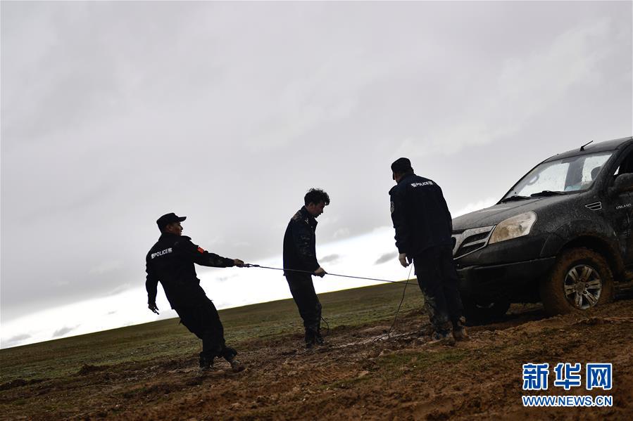 （圖文互動）（10）記者手記：可可西里，&ldquo;挪&rdquo;向&ldquo;藏羚羊大產(chǎn)房&rdquo;的14個半小時